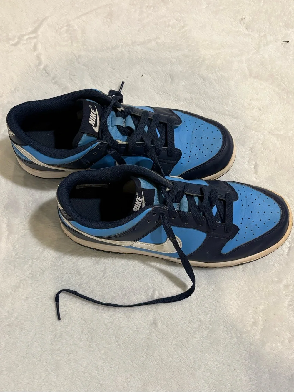 Nike Low-Top Sneakers in Sky Blue and Navy